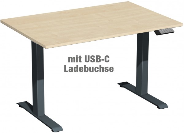 Schreibtisch Basic Edition - elektr. höhenverstellbar - 120 x 80 x 73-123 cm - USB-Ladebuchse